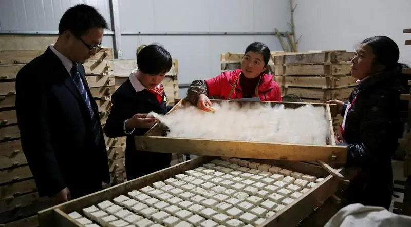 Đậu phụ l&ocirc;ng tinh hoa ẩm thực v&ugrave;ng Ho&agrave;ng Sơn Trung Quốc 4