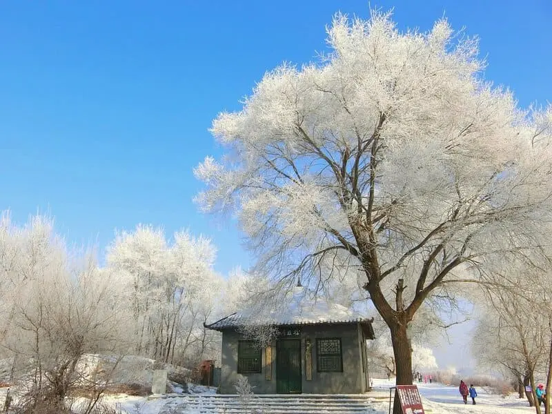 Cát Lâm Trung Quốc: Chốn thiên đường rạng rỡ mùa đông 8