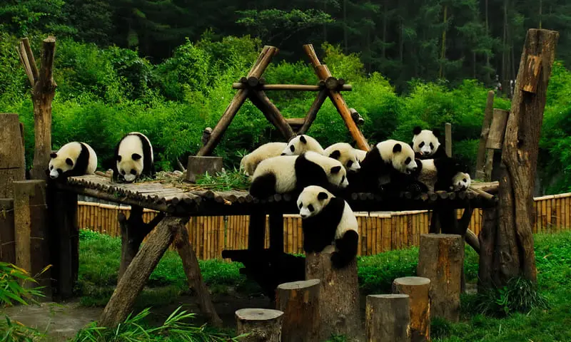 Đ&ocirc; Giang Yển, thắng cảnh ngọt ng&agrave;o giữa l&ograve;ng Th&agrave;nh Đ&ocirc; 8