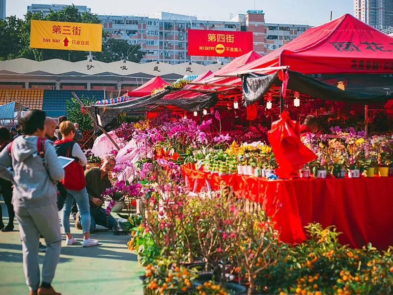 Du lịch Hong Kong Tết Nguyên Đán tận hưởng mùa lễ hội lớn nhất năm 3