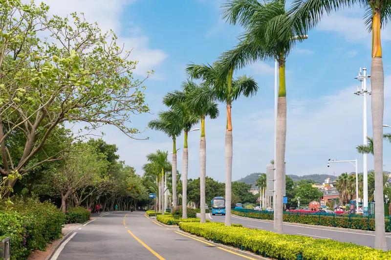 Hạ Môn Trung Quốc, đô thị xứ biển mang vẻ đẹp ngọt ngào 13