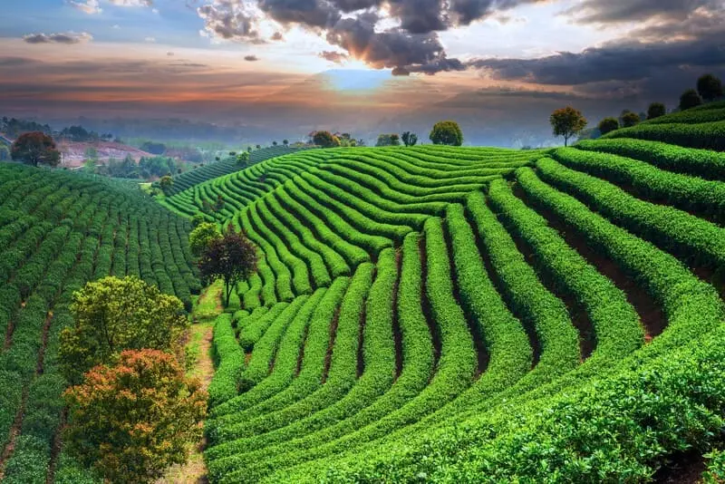 H&agrave;ng Ch&acirc;u, vẻ đẹp s&aacute;nh ngang với thi&ecirc;n đường hạ giới 8