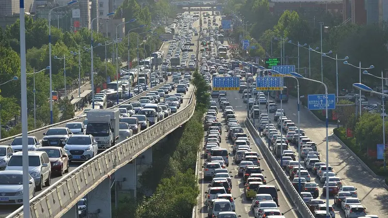 Kh&aacute;m ph&aacute; một Tứ Xuy&ecirc;n tr&ugrave; ph&uacute; qu&ecirc; hương của lo&agrave;i gấu tr&uacute;c 5