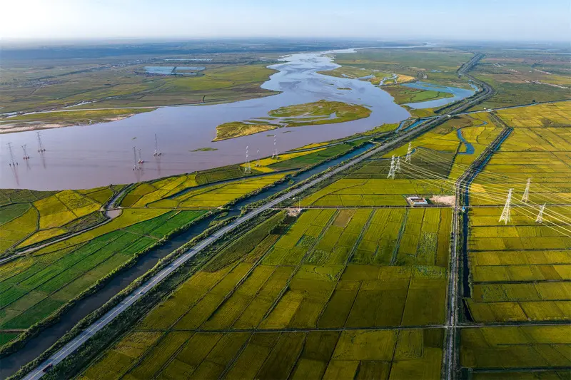 Khu tự trị Ninh Hạ nơi sa mạc h&ograve;a v&agrave;o s&ocirc;ng nước Trung Quốc 3