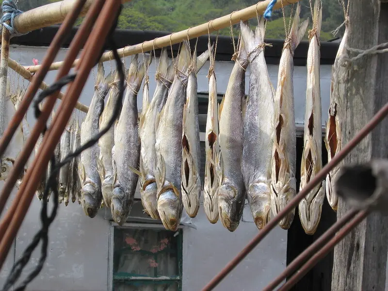 L&agrave;ng ch&agrave;i Tai O Hong Kong: Di sản ven biển của đảo Lantau 4