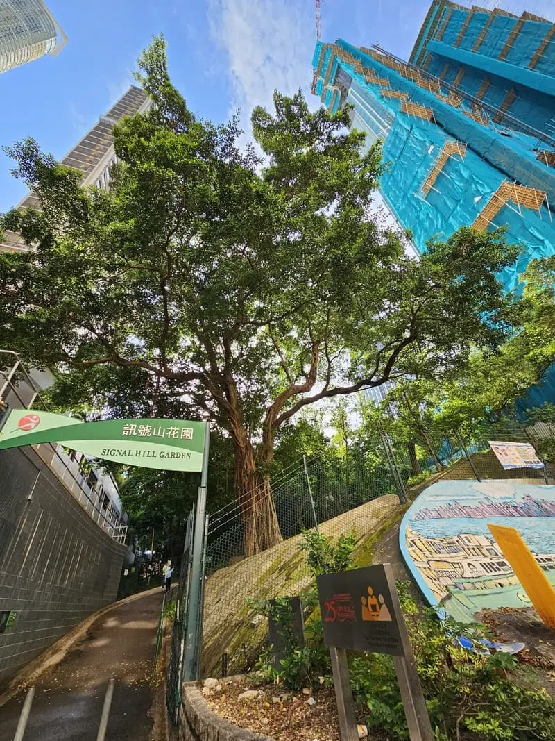 Nhộn nhịp khu giao thương Ti&ecirc;m Sa Chủy sầm uất Hong Kong 10