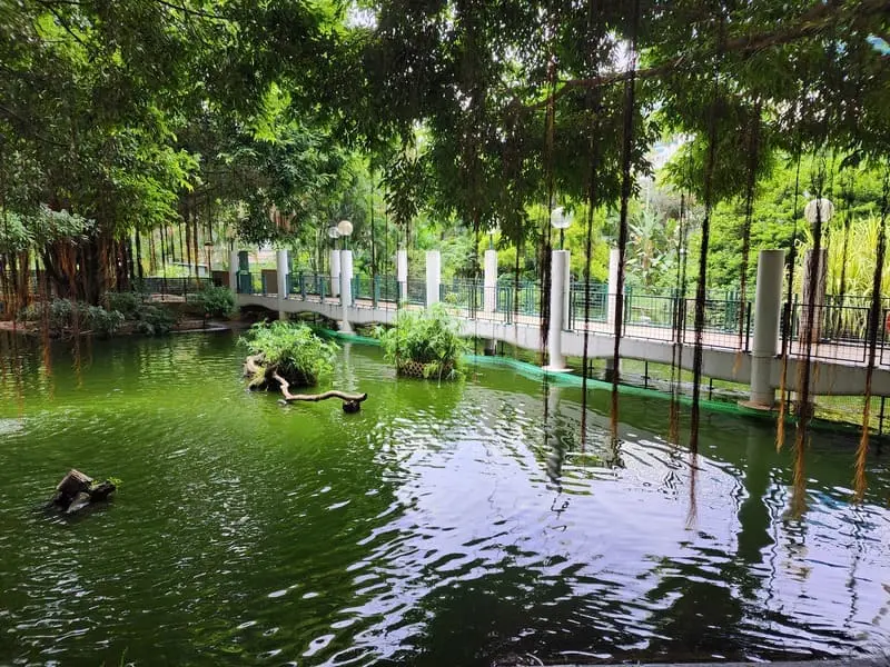 Nhộn nhịp khu giao thương Ti&ecirc;m Sa Chủy sầm uất Hong Kong 4