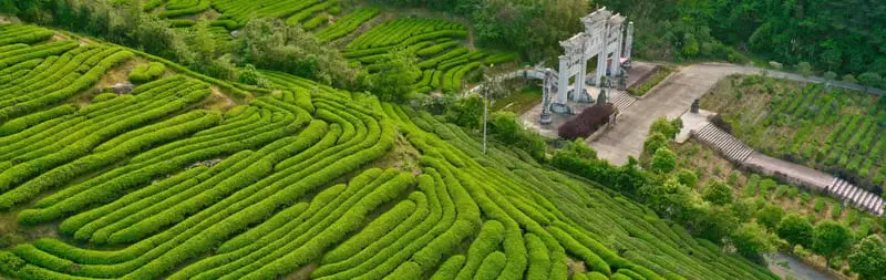Thắng cảnh Vũ Di Sơn, di sản ấn tượng tại Phúc Kiến 2