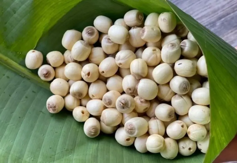 Top 11 đặc sản Trung Quốc làm quà nổi tiếng nên mua 10