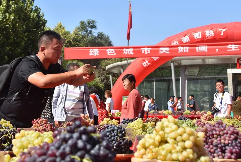 Turpan v&ugrave;ng đất lửa n&oacute;ng bức ở T&acirc;n Cương Trung Quốc 14