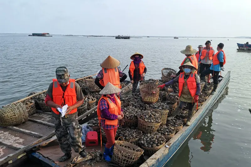 Về cổ trấn Tr&uacute;c Sơn ven biển đầy thơ mộng tại Đ&ocirc;ng Hưng 6