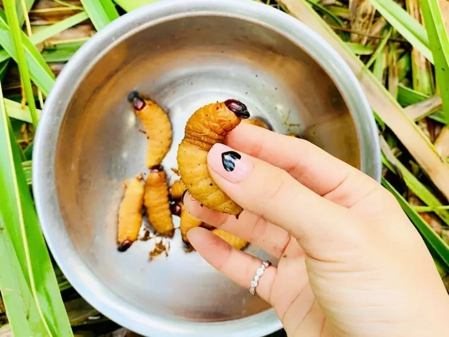 Bật m&iacute; cẩm nang ăn g&igrave; ở Vĩnh Long m&agrave; bao người thắc mắc 8