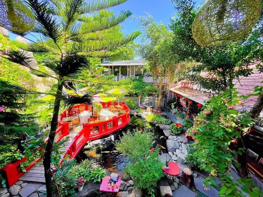 Check in Robusta Koi Garden, qu&aacute;n cafe c&oacute; hồ c&aacute; Koi đẹp m&ecirc; ly 2