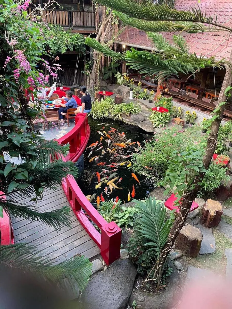 Check in Robusta Koi Garden, qu&aacute;n cafe c&oacute; hồ c&aacute; Koi đẹp m&ecirc; ly 7