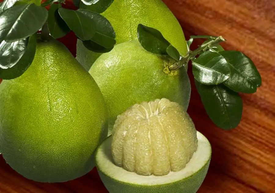 Kh&aacute;m ph&aacute; Bưởi Năm Roi B&igrave;nh Minh ngon nhất cả nước 3