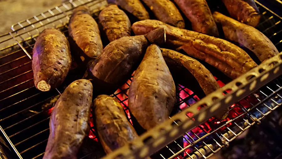 Khoai lang Bình Tân, loại củ đặc trưng của vùng nước nổi 7