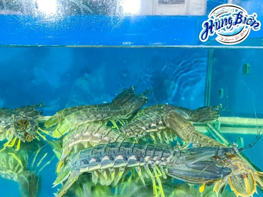 Qu&aacute;n ăn H&ugrave;ng Biển 2, điểm đến l&yacute; tưởng cho t&iacute;n đồ đam m&ecirc; hải sản 6