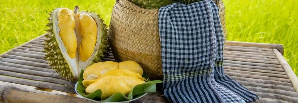Những thương hiệu đặc sản Vĩnh Long nổi tiếng khắp tứ phương