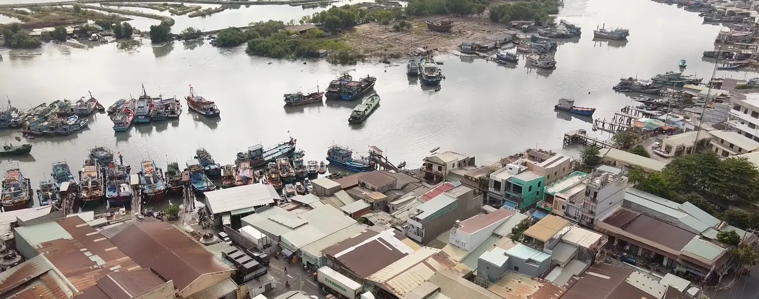 Chợ Bến Đá Vũng Tàu và những trải nghiệm thú vị tại một trong những thiên đường hải sản bậc nhất Vũng Tàu