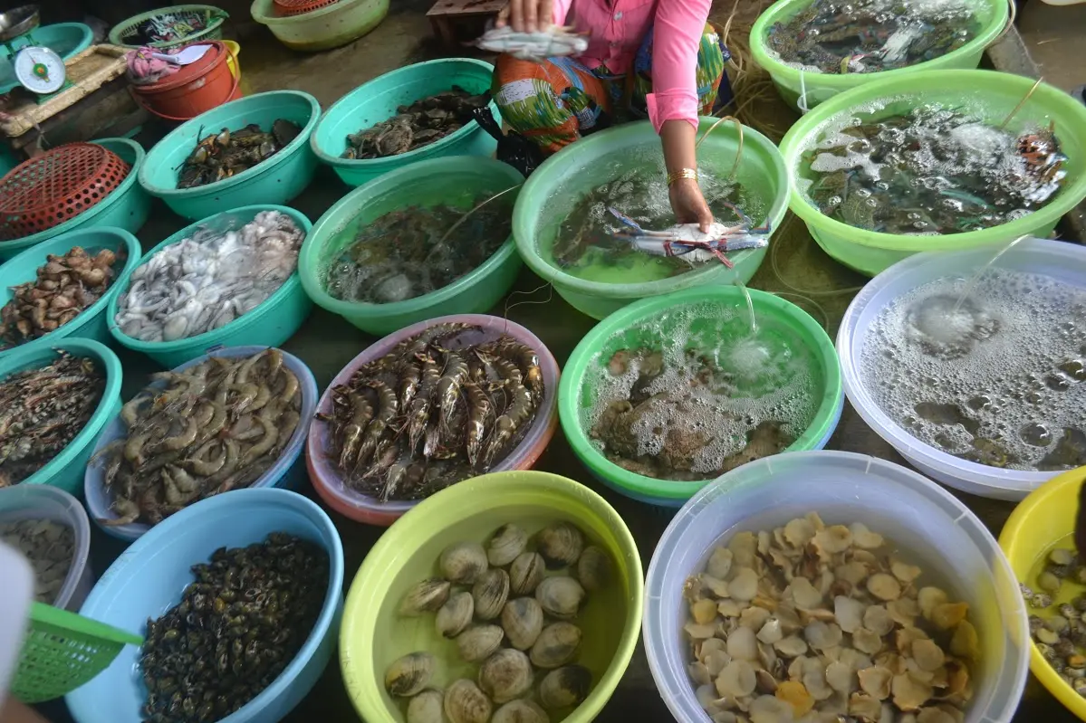 Bỏ t&uacute;i ngay c&aacute;c &ldquo;địa chỉ v&agrave;ng&rdquo; mua hải sản tươi sống Vũng T&agrave;u d&agrave;nh cho d&acirc;n s&agrave;nh ăn 10