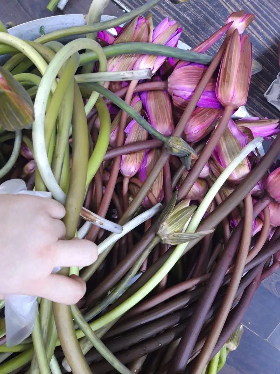B&uacute;n s&uacute;ng Vũng T&agrave;u - Thưởng thức hương vị h&agrave;i h&ograve;a của ba nền văn h&oacute;a 6
