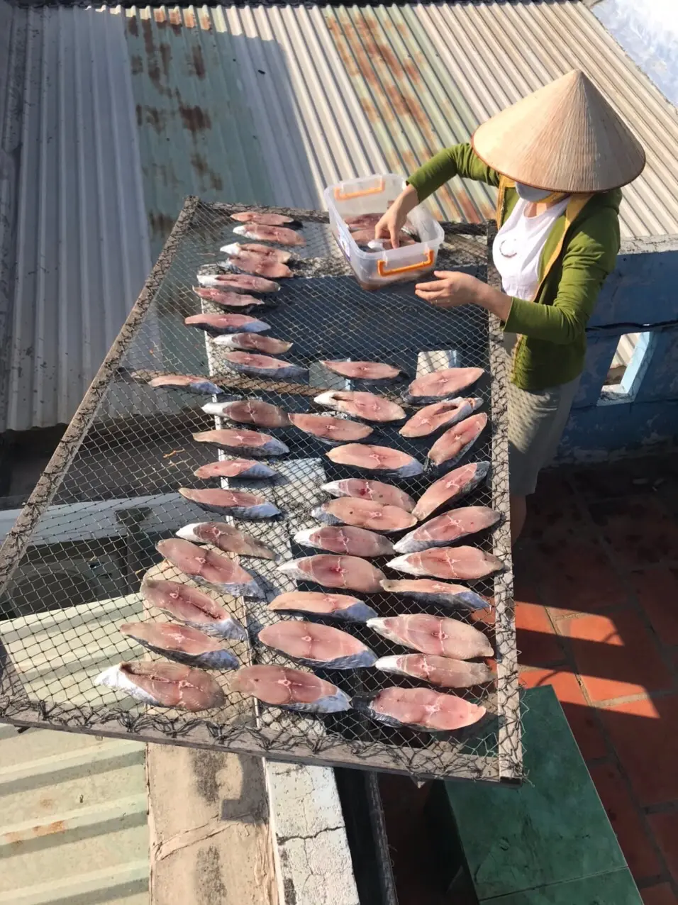 C&aacute; thu một nắng Vũng T&agrave;u - Đặc sản miền biển với những c&ocirc;ng dụng v&ocirc; c&ugrave;ng hữu &iacute;ch 2