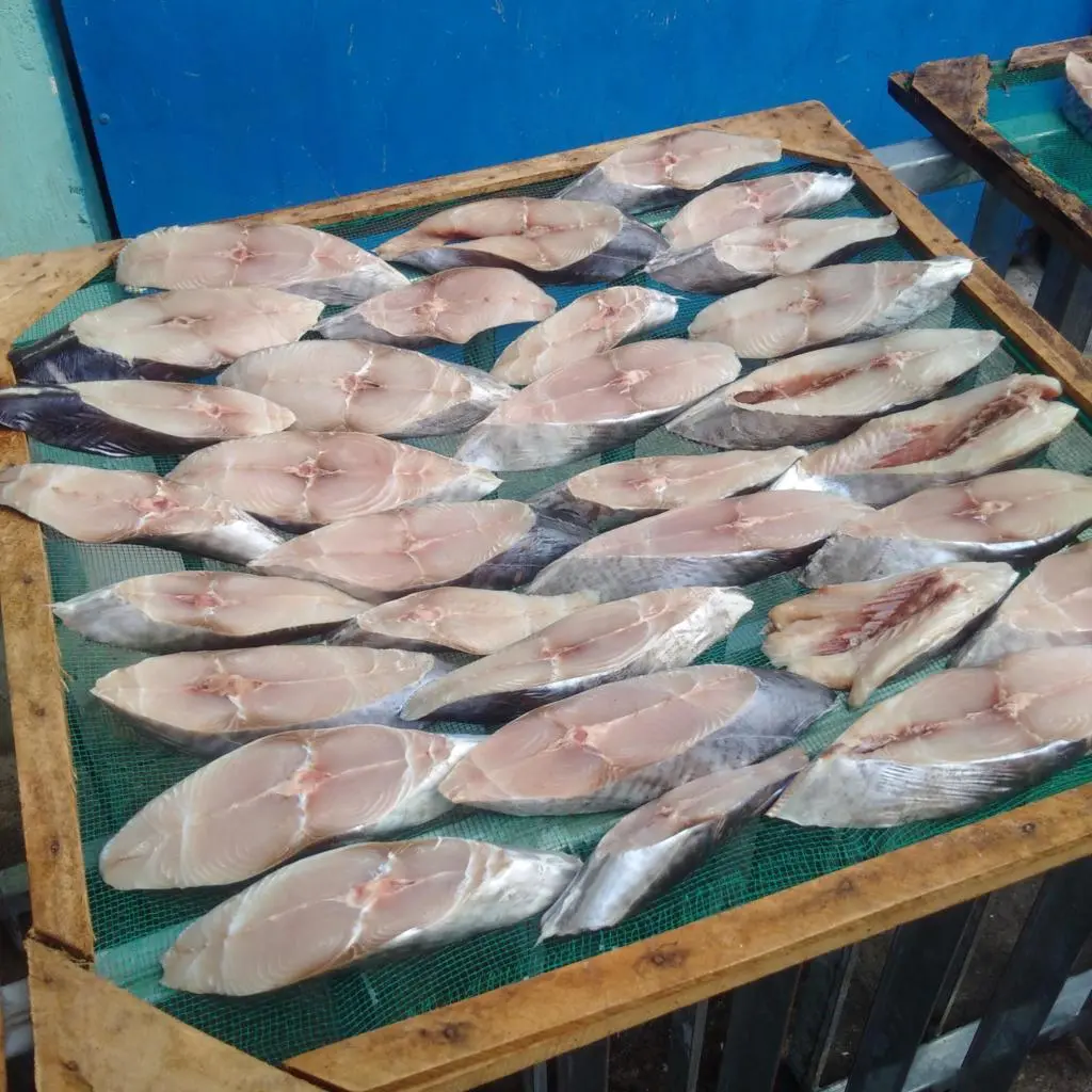 C&aacute; thu một nắng Vũng T&agrave;u - Đặc sản miền biển với những c&ocirc;ng dụng v&ocirc; c&ugrave;ng hữu &iacute;ch 3