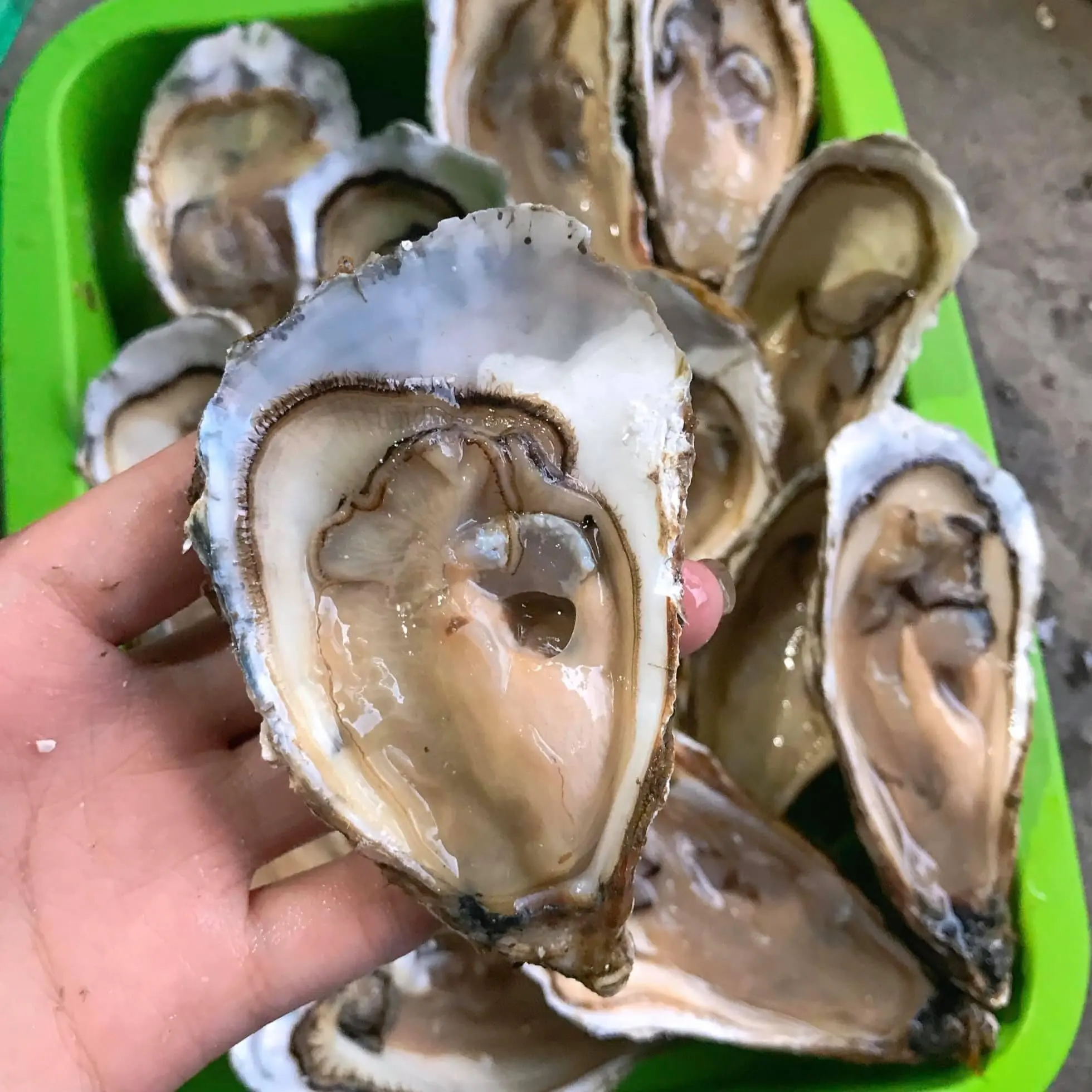 Cảm nhận vị thơm ngon b&eacute;o ngậy tự nhi&ecirc;n từ m&oacute;n h&agrave;u đ&uacute;t l&ograve; Vũng T&agrave;u 4