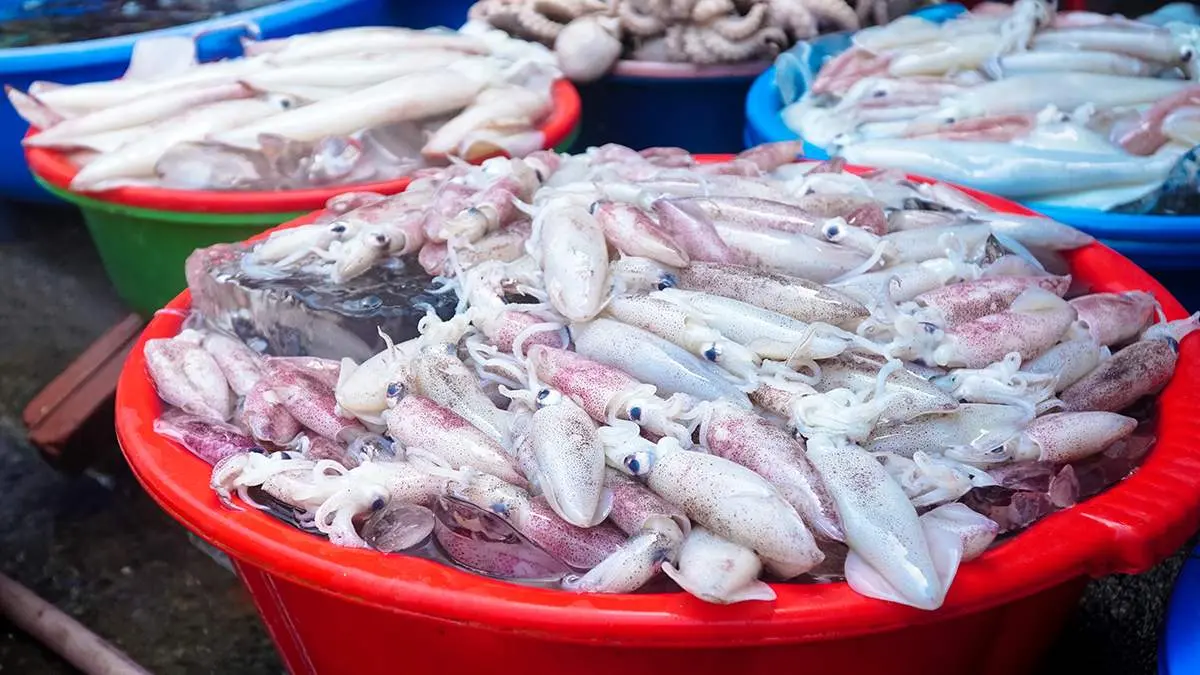 Chợ Bến Đ&aacute; Vũng T&agrave;u v&agrave; những trải nghiệm th&uacute; vị tại một trong những thi&ecirc;n đường hải sản bậc nhất Vũng T&agrave;u 8