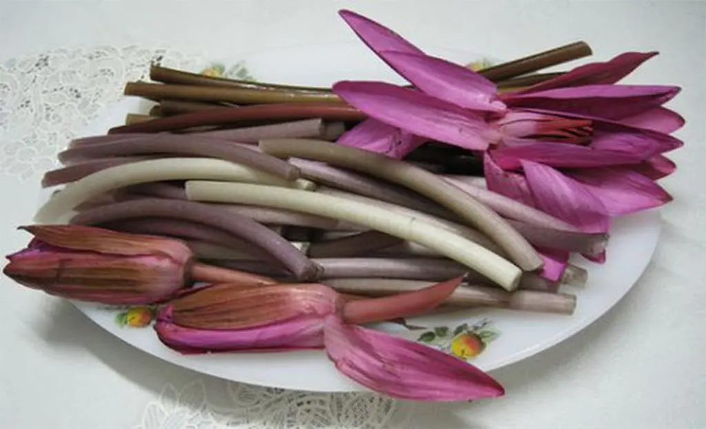 Điểm mặt 7 m&oacute;n ăn kh&ocirc;ng thể thiếu trong thi&ecirc;n đường ẩm thực Vũng T&agrave;u 12