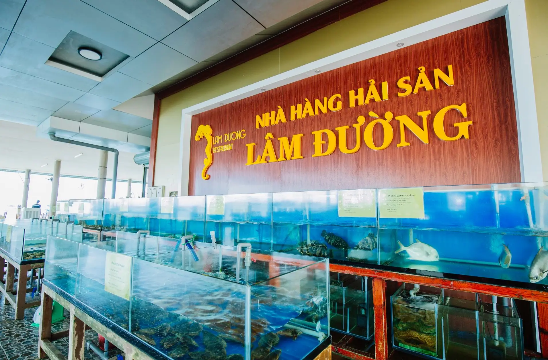 D&ugrave;ng bữa b&ecirc;n g&oacute;c biển mộng mơ tại nh&agrave; h&agrave;ng hải sản L&acirc;m Đường 12