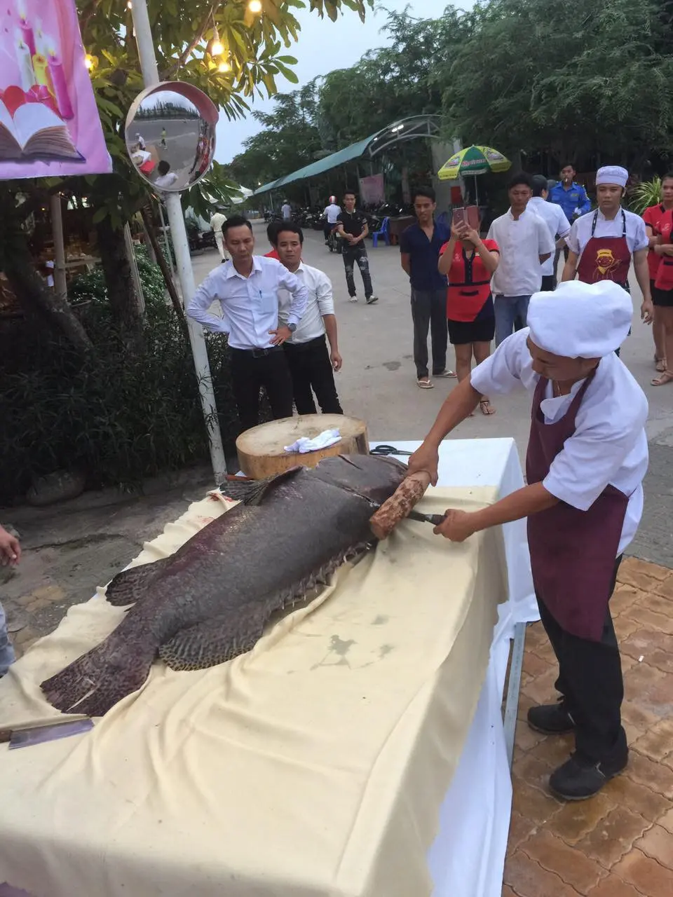 D&ugrave;ng bữa giữa kh&ocirc;ng gian gần gũi thi&ecirc;n nhi&ecirc;n tại nh&agrave; h&agrave;ng hải sản Vạn Ch&agrave;i 6