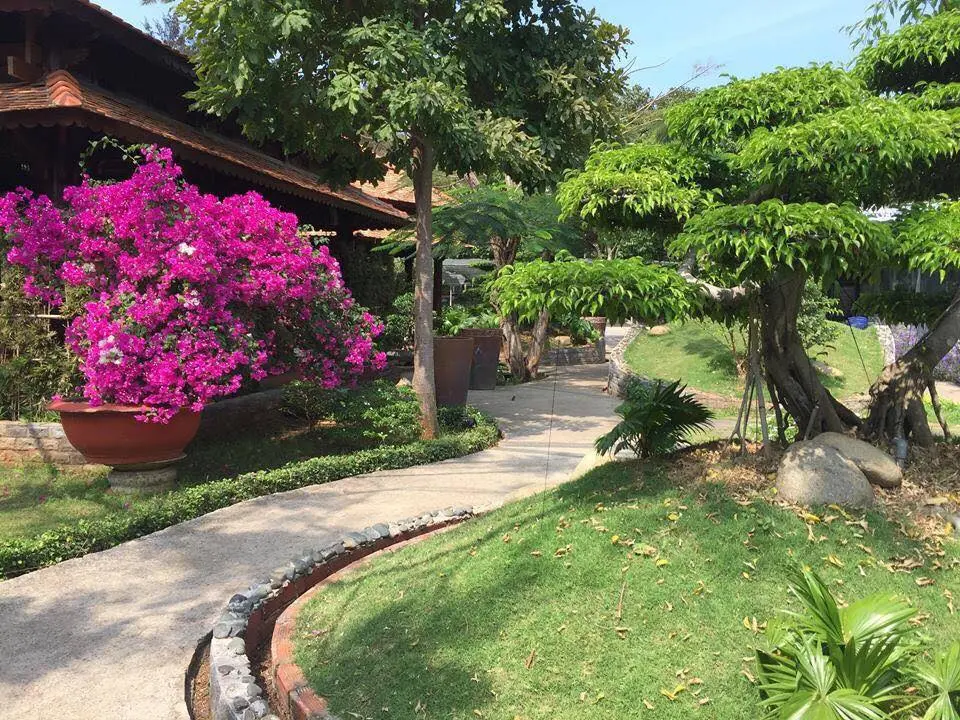 D&ugrave;ng bữa giữa kh&ocirc;ng gian gần gũi thi&ecirc;n nhi&ecirc;n tại nh&agrave; h&agrave;ng hải sản Vạn Ch&agrave;i 3