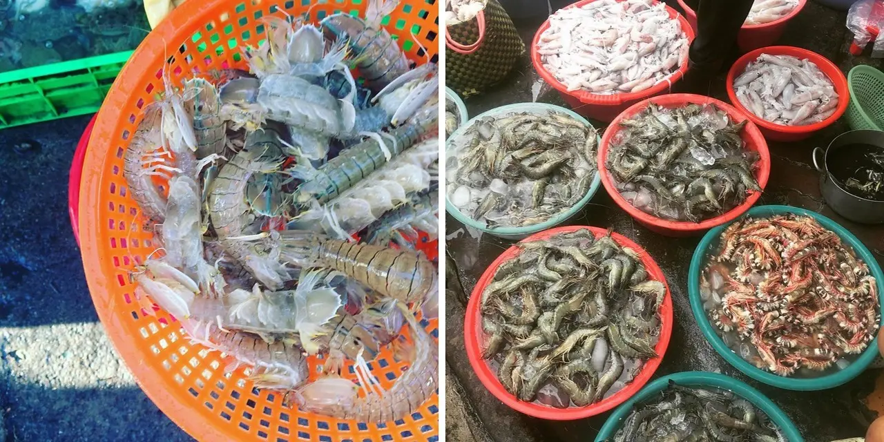 Gh&eacute; chợ X&oacute;m Lưới Vũng T&agrave;u rồi m&igrave;nh c&ugrave;ng rinh cả thế giới hải sản tươi ngon về nh&agrave; nh&eacute;! 10