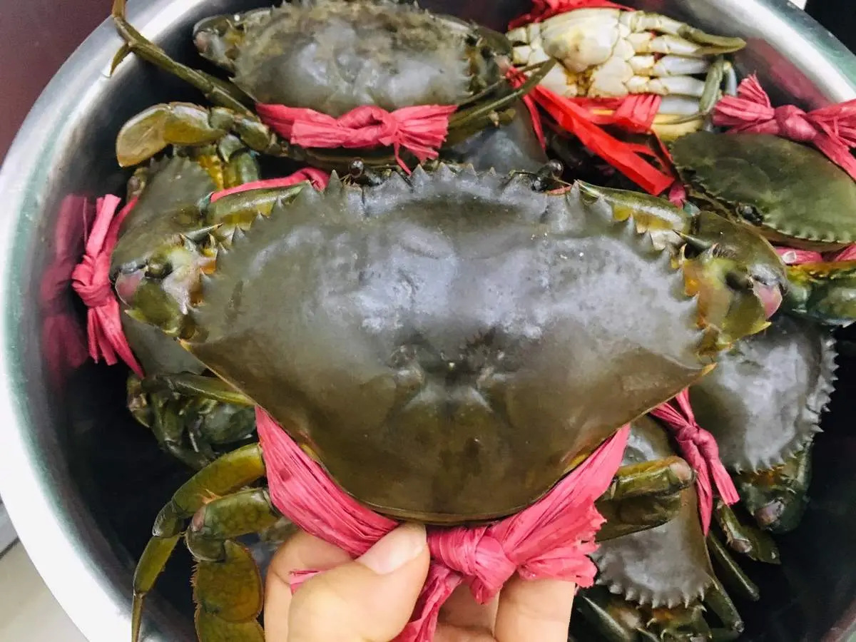 Gh&eacute; chợ X&oacute;m Lưới Vũng T&agrave;u rồi m&igrave;nh c&ugrave;ng rinh cả thế giới hải sản tươi ngon về nh&agrave; nh&eacute;! 12
