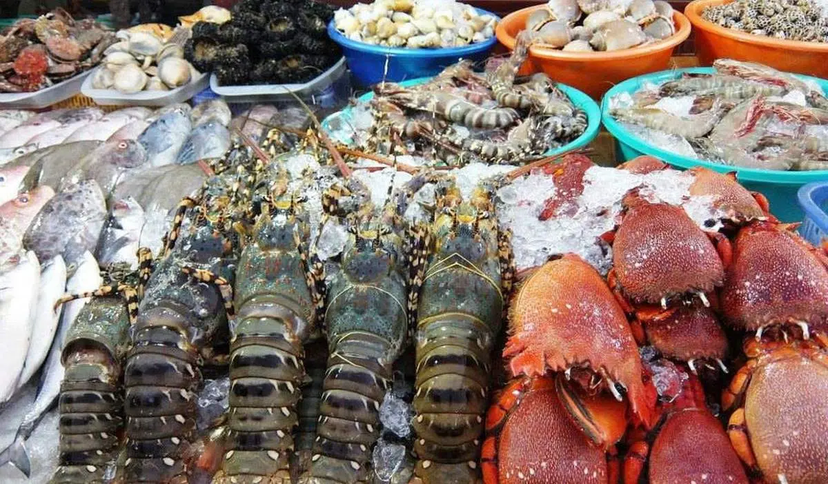 Gh&eacute; chợ X&oacute;m Lưới Vũng T&agrave;u rồi m&igrave;nh c&ugrave;ng rinh cả thế giới hải sản tươi ngon về nh&agrave; nh&eacute;! 5