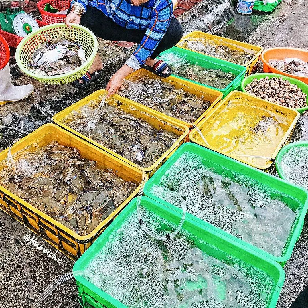 Gh&eacute; chợ X&oacute;m Lưới Vũng T&agrave;u rồi m&igrave;nh c&ugrave;ng rinh cả thế giới hải sản tươi ngon về nh&agrave; nh&eacute;! 15