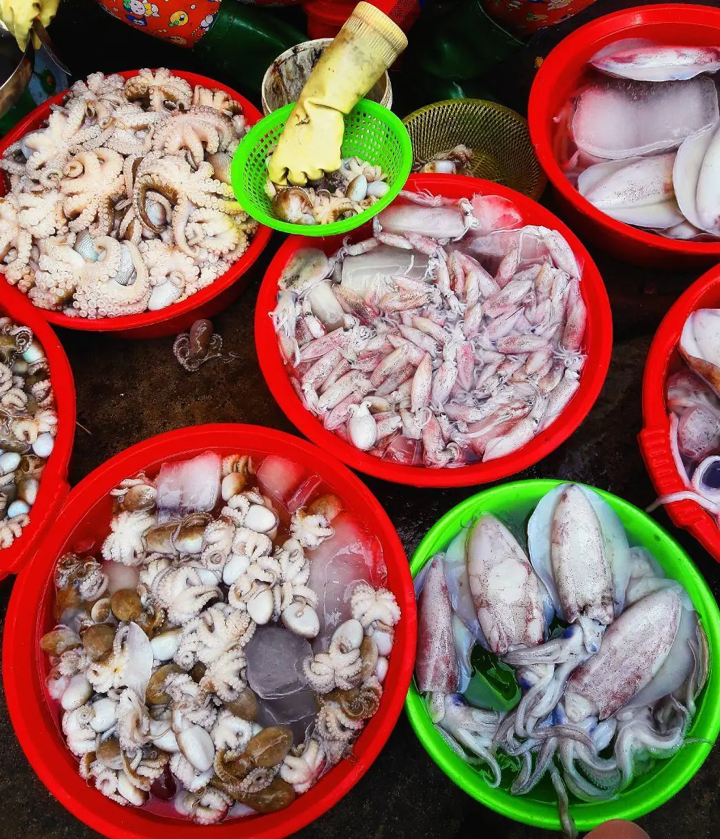 Gh&eacute; chợ X&oacute;m Lưới Vũng T&agrave;u rồi m&igrave;nh c&ugrave;ng rinh cả thế giới hải sản tươi ngon về nh&agrave; nh&eacute;! 14