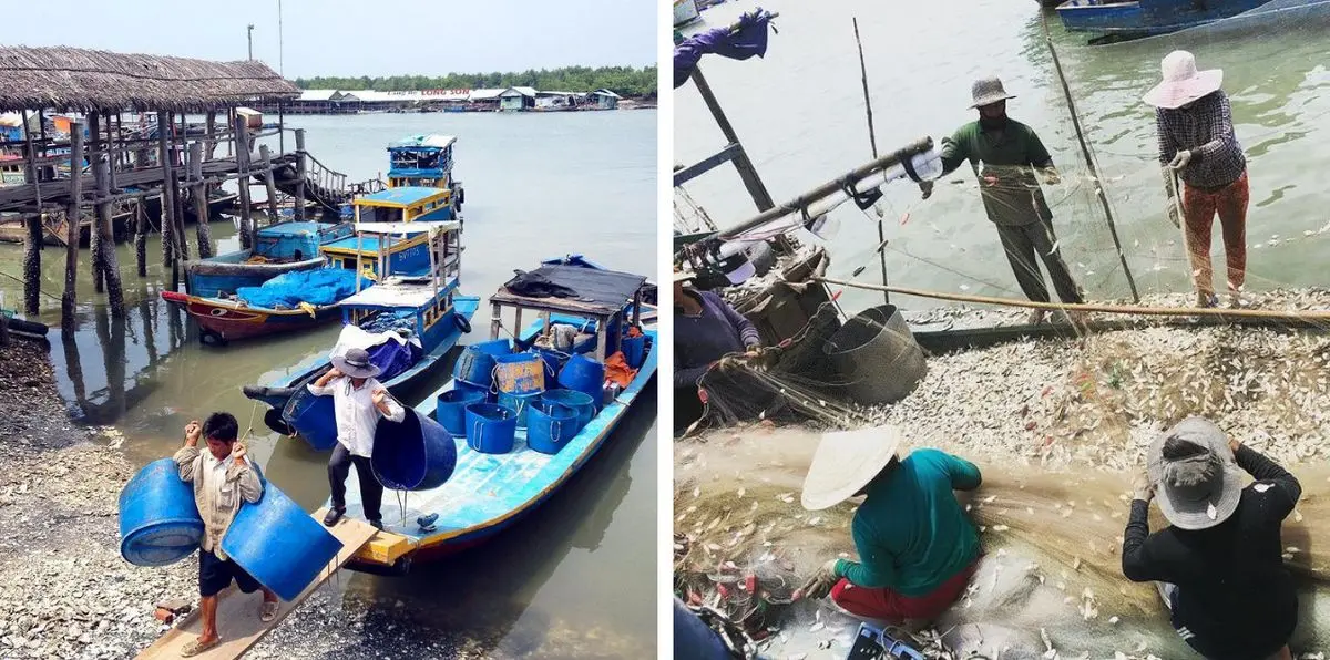 Gh&eacute; thăm L&agrave;ng b&egrave; Long Sơn với trải nghiệm ẩm thực v&agrave; đời sống b&igrave;nh dị 7
