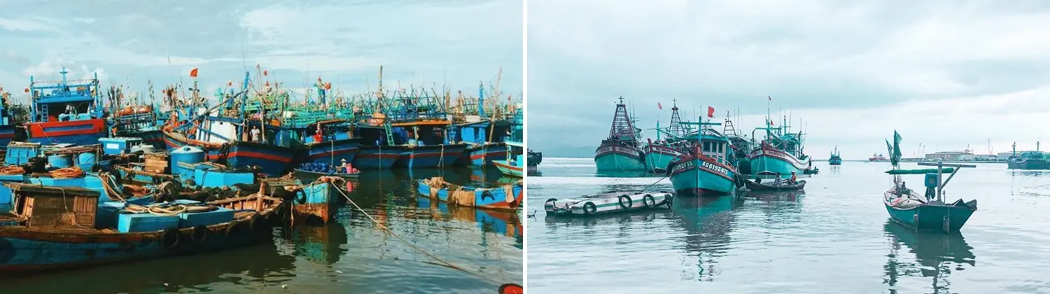 Nằm lòng top 5 chợ hải sản Vũng Tàu để chứng tỏ đẳng cấp tín đồ ẩm thực ngay và luôn nào! 4