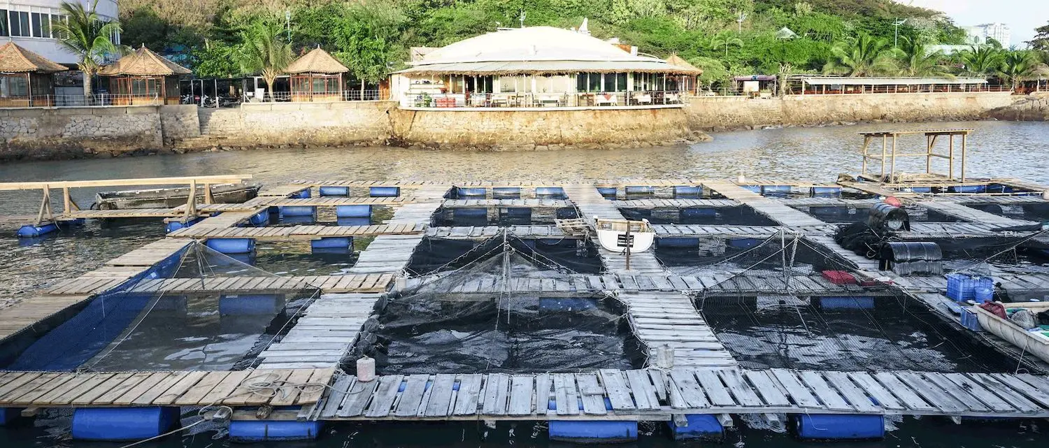Nh&agrave; h&agrave;ng hải sản H&ograve;n R&ugrave; R&igrave; - Nh&agrave; h&agrave;ng c&oacute; view ngắm ho&agrave;ng h&ocirc;n độc đ&aacute;o tại Vũng T&agrave;u 8