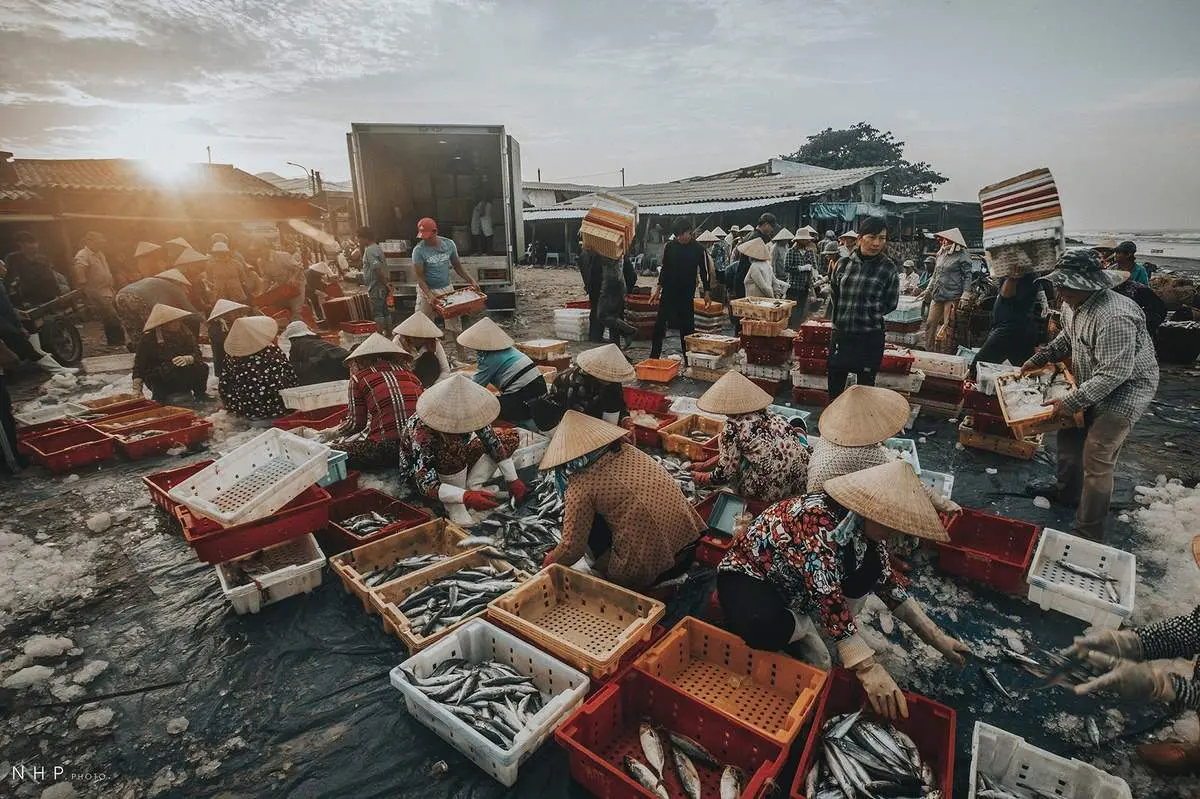 Cảng c&aacute; B&agrave; Rịa - Vũng T&agrave;u - Nhịp sống sớm mai tại cảng c&aacute; qua ống k&iacute;nh của nhiếp ảnh gia Nguyễn Ho&agrave;ng Phi 3