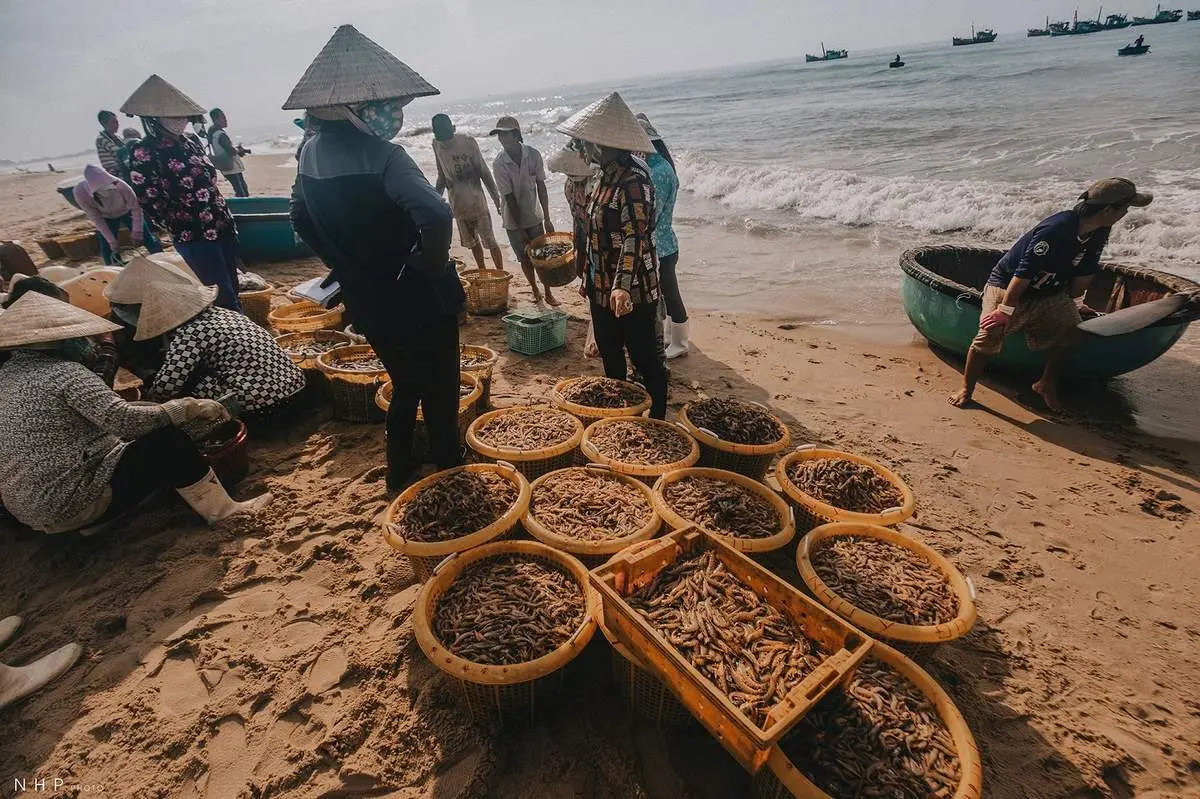 Cảng c&aacute; B&agrave; Rịa - Vũng T&agrave;u - Nhịp sống sớm mai tại cảng c&aacute; qua ống k&iacute;nh của nhiếp ảnh gia Nguyễn Ho&agrave;ng Phi 12