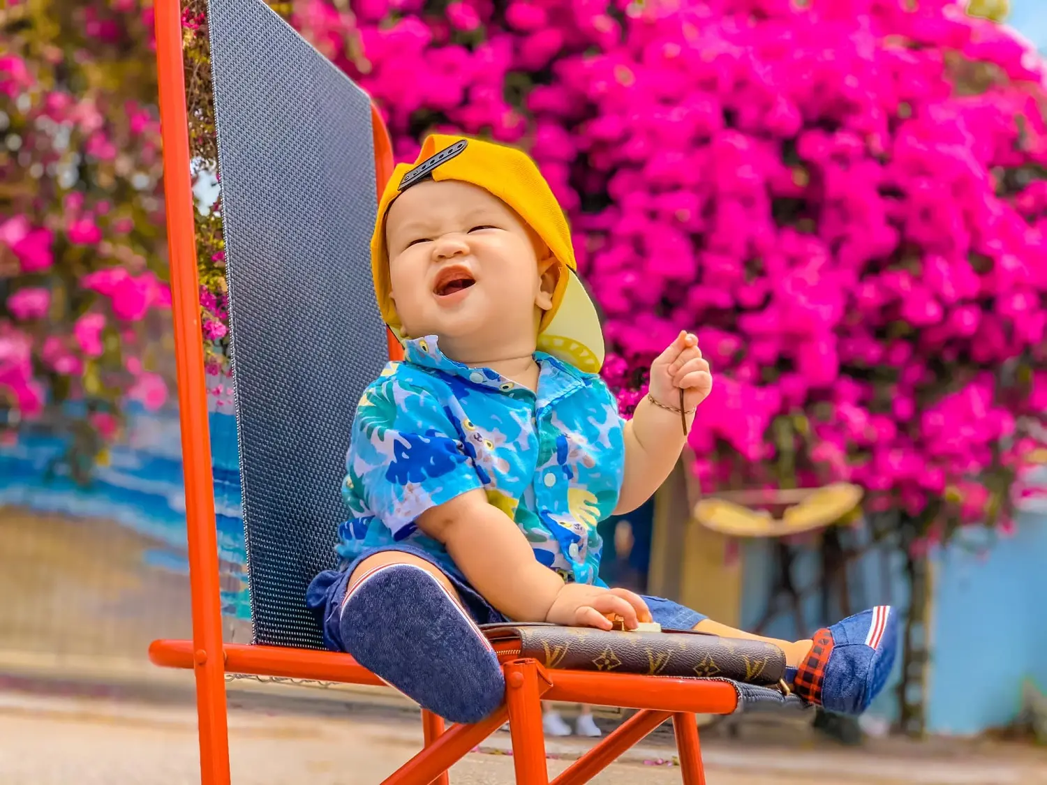 Chi&ecirc;m ngưỡng m&ugrave;a hoa giấy Vũng T&agrave;u - Vẻ đẹp vừa mong manh vừa m&atilde;nh liệt của lo&agrave;i hoa nắng gi&oacute; 6