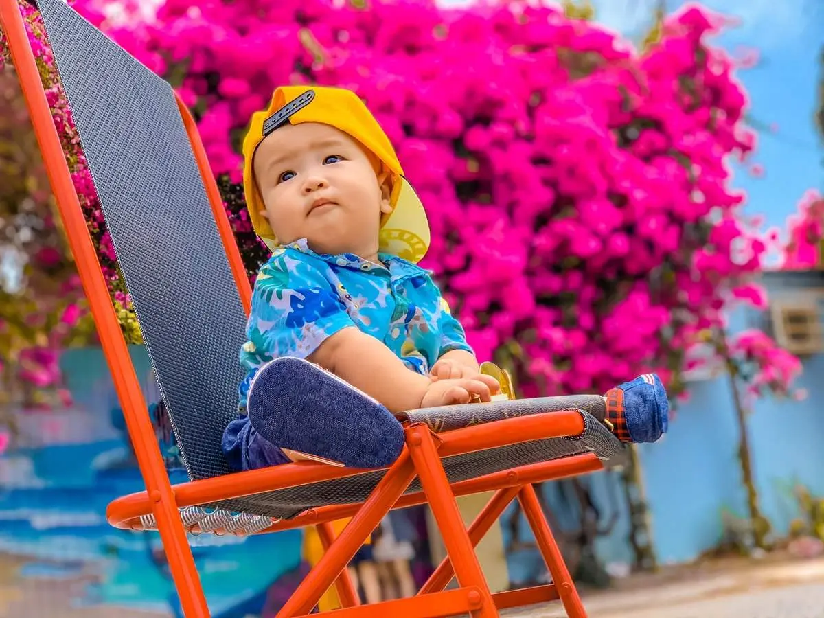 Chi&ecirc;m ngưỡng m&ugrave;a hoa giấy Vũng T&agrave;u - Vẻ đẹp vừa mong manh vừa m&atilde;nh liệt của lo&agrave;i hoa nắng gi&oacute; 9