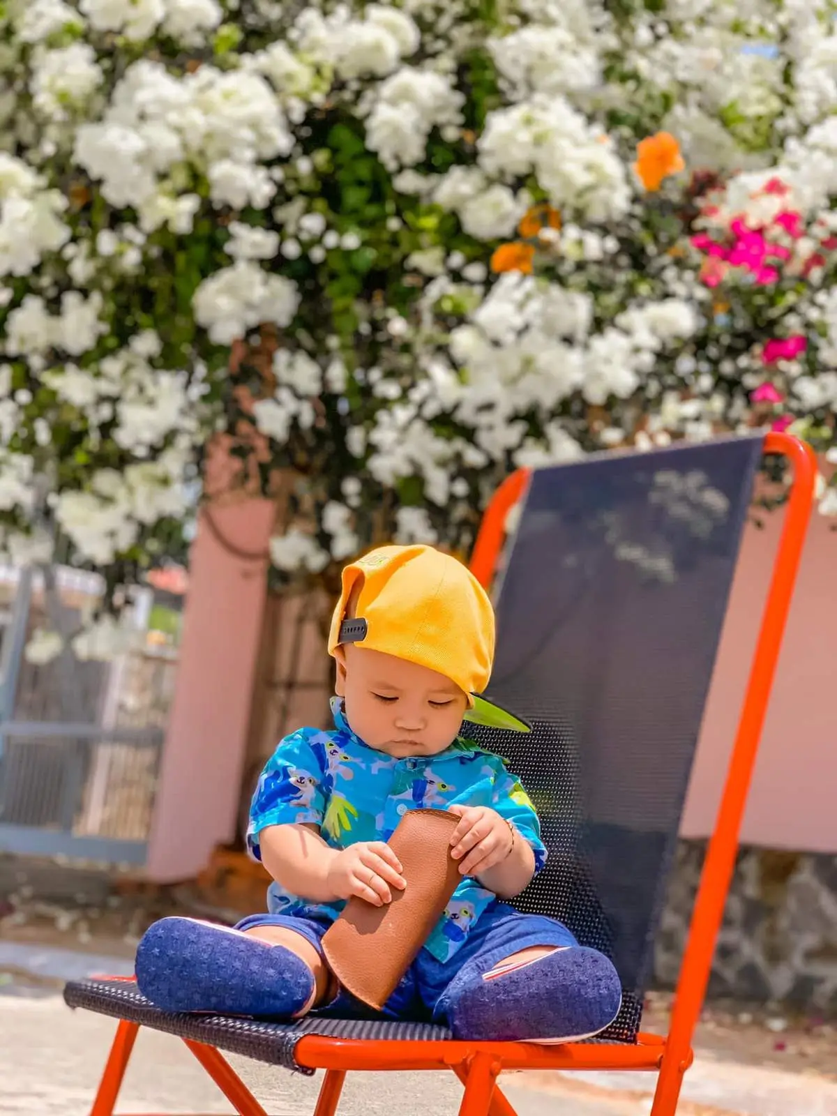 Chi&ecirc;m ngưỡng m&ugrave;a hoa giấy Vũng T&agrave;u - Vẻ đẹp vừa mong manh vừa m&atilde;nh liệt của lo&agrave;i hoa nắng gi&oacute; 8