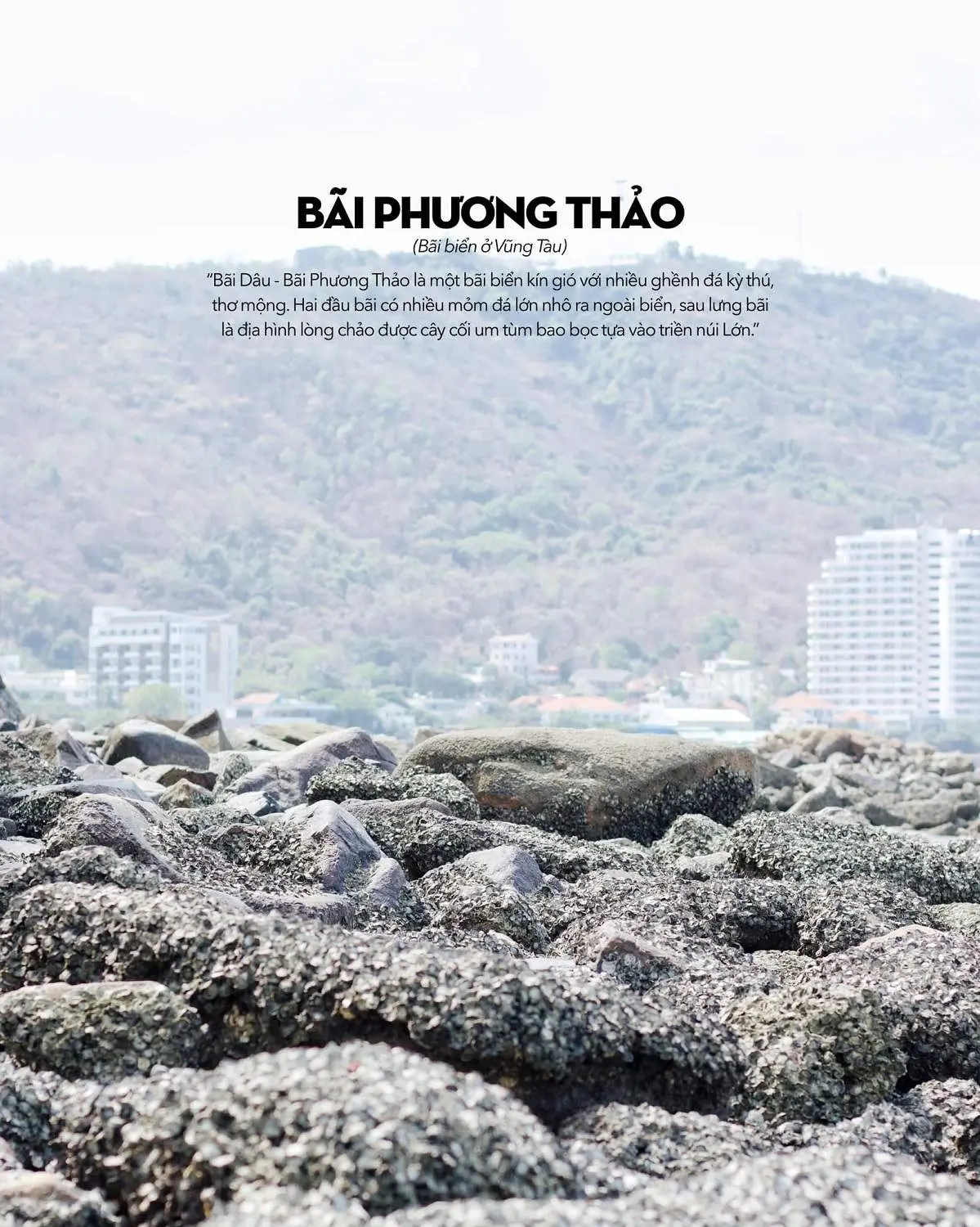 Kh&ocirc;ng chỉ c&oacute; mỗi con hẻm, B&atilde;i D&acirc;u Vũng T&agrave;u c&oacute; qu&aacute; trời thứ dễ thương lu&ocirc;n n&egrave; 13