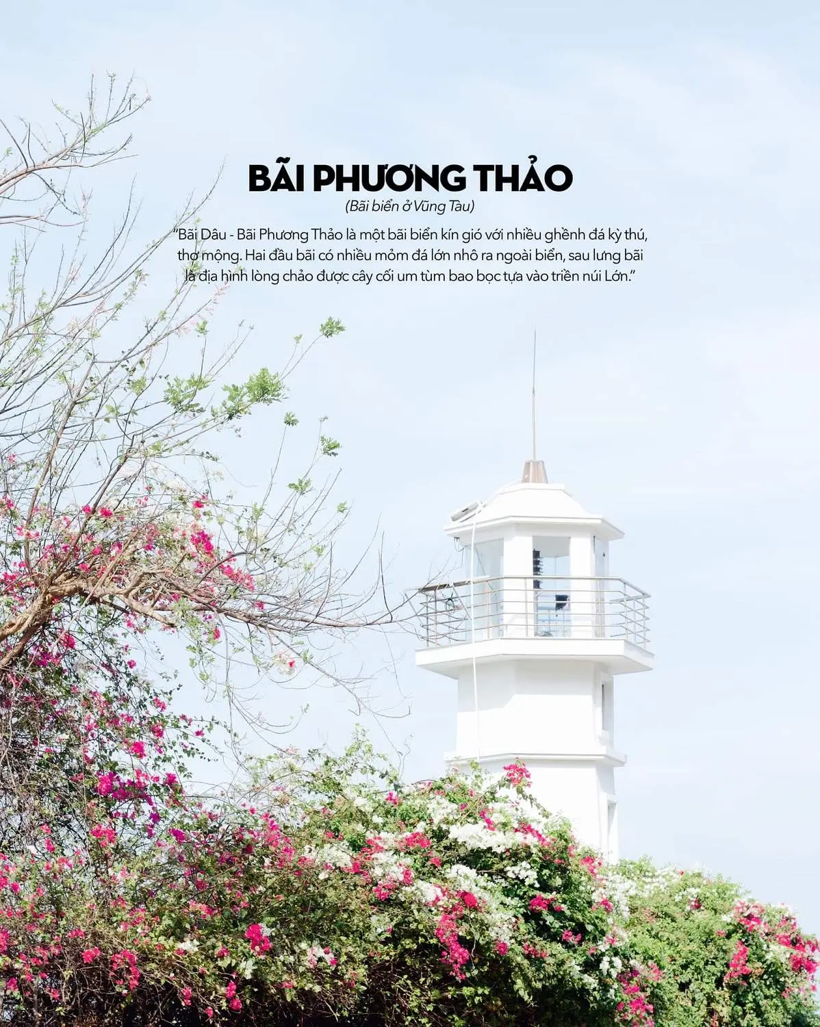 Kh&ocirc;ng chỉ c&oacute; mỗi con hẻm, B&atilde;i D&acirc;u Vũng T&agrave;u c&oacute; qu&aacute; trời thứ dễ thương lu&ocirc;n n&egrave; 4