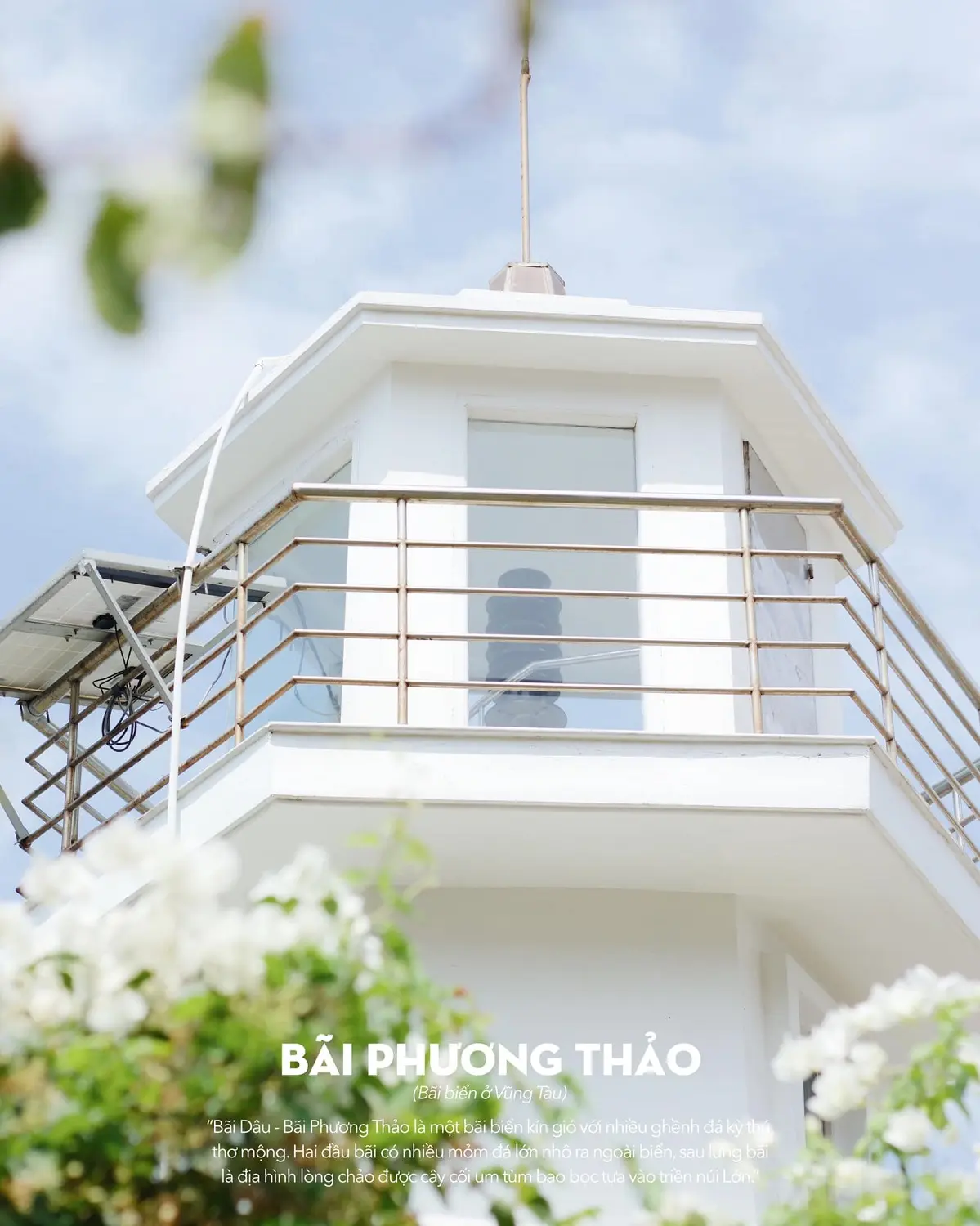 Kh&ocirc;ng chỉ c&oacute; mỗi con hẻm, B&atilde;i D&acirc;u Vũng T&agrave;u c&oacute; qu&aacute; trời thứ dễ thương lu&ocirc;n n&egrave; 5
