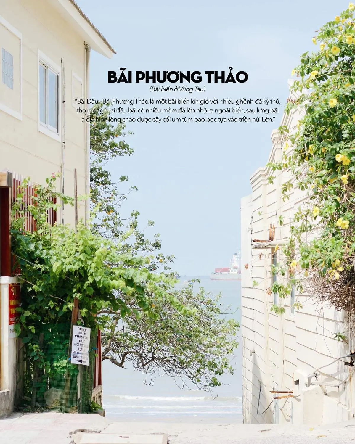 Kh&ocirc;ng chỉ c&oacute; mỗi con hẻm, B&atilde;i D&acirc;u Vũng T&agrave;u c&oacute; qu&aacute; trời thứ dễ thương lu&ocirc;n n&egrave; 10